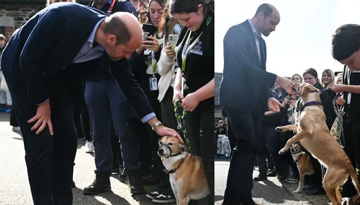 Prince William cracks naughty joke after dog jumps at him during latest appearance