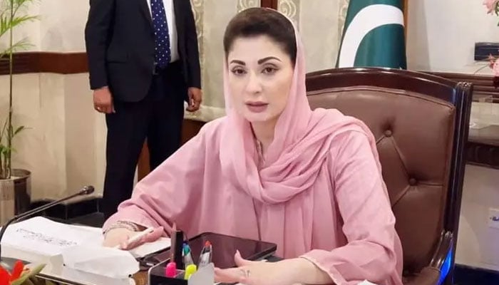 مریم نواز --- فائل فوٹو