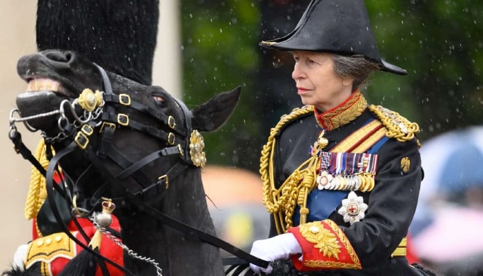 Princess Anne shines at horse show after injury recovery