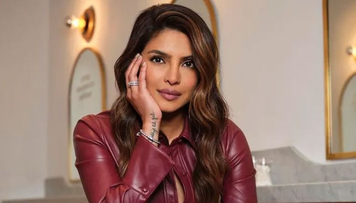 The global icon Priyanka Chopra shares an airport life mirror selfie