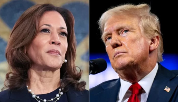 Donald Trump during his Pennsylvania rally called Kamala Harris a ‘sh*t vice president’