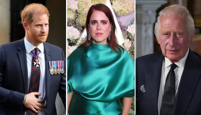 Princess Eugenie struggling to keep peace between King Charles, Prince Harry?