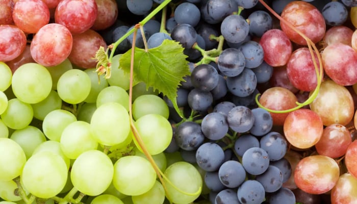 Researchers suggest that eating grapes could increase a person’s life span by five years