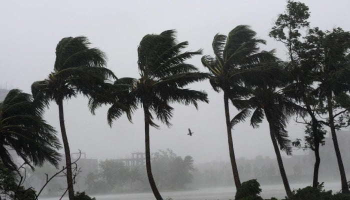 Odisha and west Bengal brace for Cyclone Dana with major evacuations