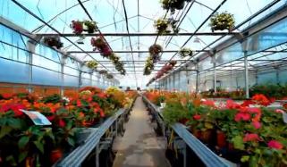 ایشیاء کی سب سے بڑی نرسری کہاں واقع ہے؟