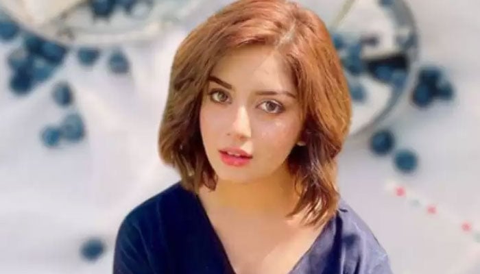 The Ehd-e-Wafa actress Alizeh Shah has received flak for her bold dressing