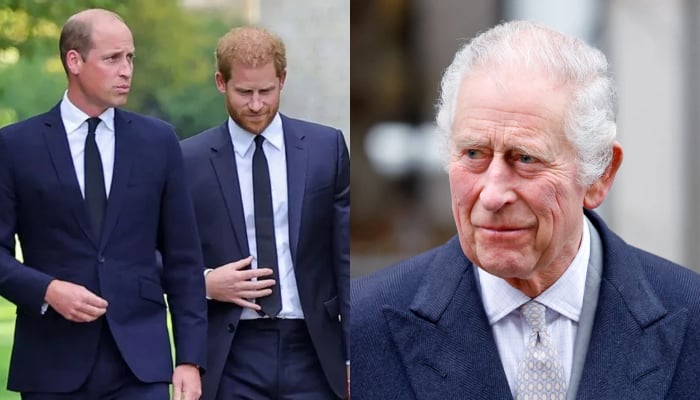 Prince William delights King Charles with significant move for Harry