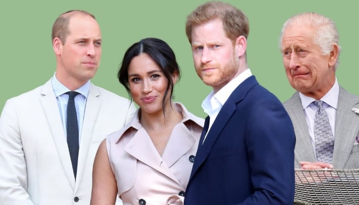 Prince Harry and Meghan Markle stepped down as senior working royals in 2020