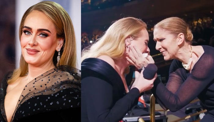 Adele gushes over Celine Dions surprise visit to her Las Vegas show