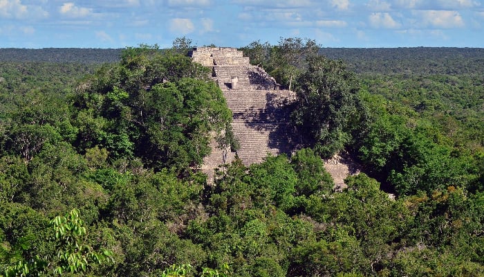 Student explorers discover long-lost Mayan city in Mexican forest