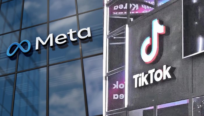 Meta, TikTok face lawsuit in Brazil for not creating protection mechanism