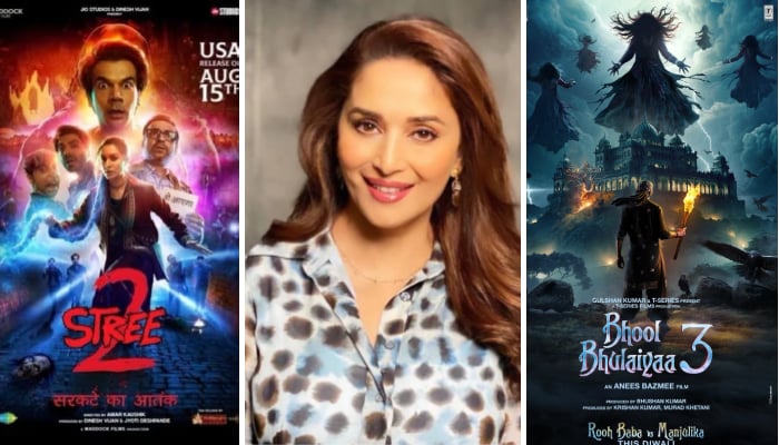 Madhuri Dixit shares views on ‘Stree 2’ ahead of ‘Bhool Bhulaiyaa 3’ release