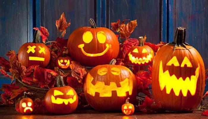 Recycle your halloween pumpkin with THESE simple, eco-friendly tips