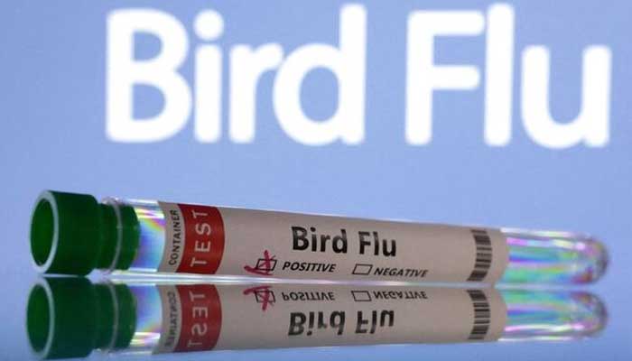 U.S. reports first case of H5N1 bird flu virus in swine