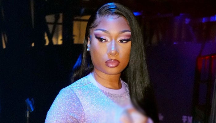 Megan Thee Stallion makes sombre confession about mental health struggles