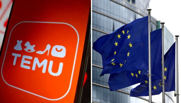 Temu under scrutiny: European Commission investigates Chinese E-commerce giant