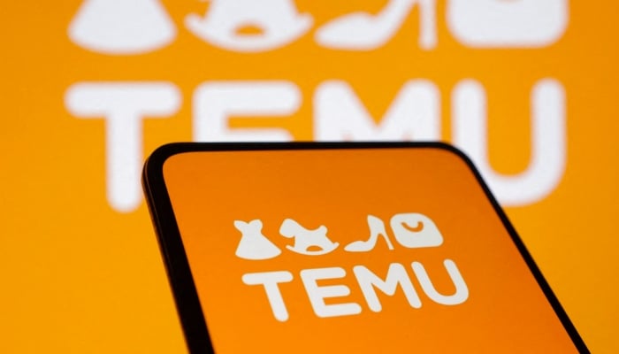 Temu eyes European anti-counterfeit group membership to strengthen brand