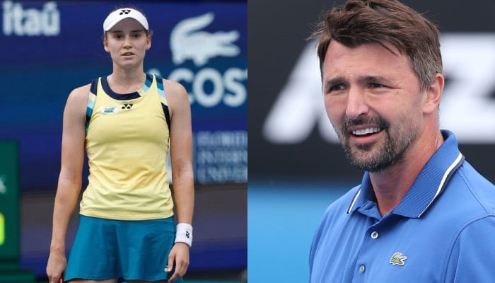 Elena Rybakina chooses Goran Ivanisevic as her coach for next season