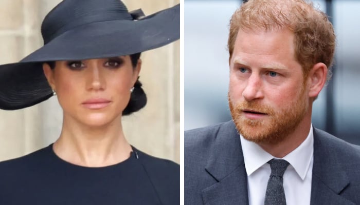 Meghan Markle’s battles her worst fears as Prince Harry separates paths