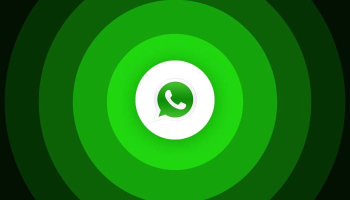 WhatsApp surprises iPhone users with latest status update