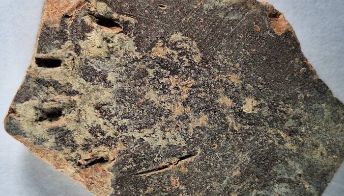 Ancient cat paw prints discovered in pottery dating back over 1,000 years