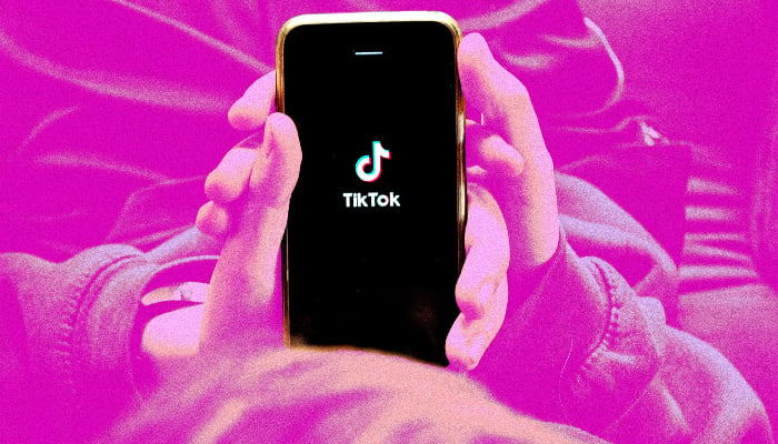 TikTok faces legal action in France over childrens exposure to harmful content