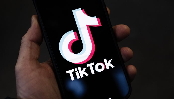 TikTok app will be available for Canadian citizens even after the closure of local business