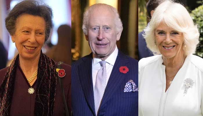 Princess Anne replaces Queen Camilla on key event with King Charles