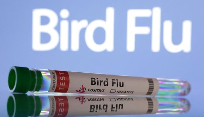 Canada reports first suspected human bird flu case