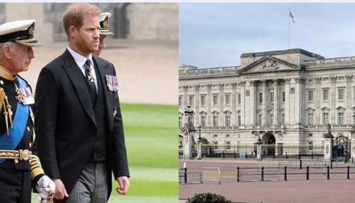 In his memoir Spare, Prince Harry notably dubbed Alderton The Wasp