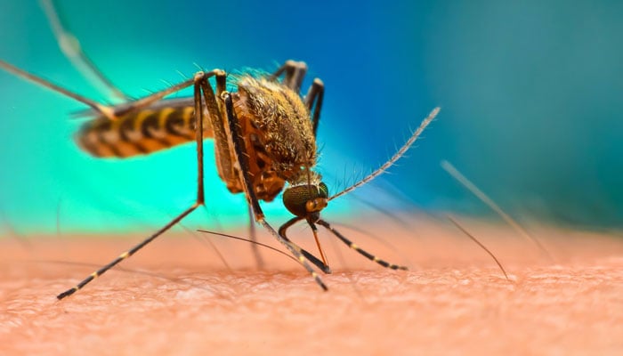 Malaria parasite developing resistance to life-saving drug