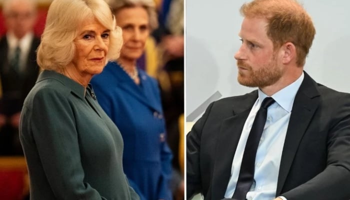 Harry and Camilla have reportedly had a tense relationship for years