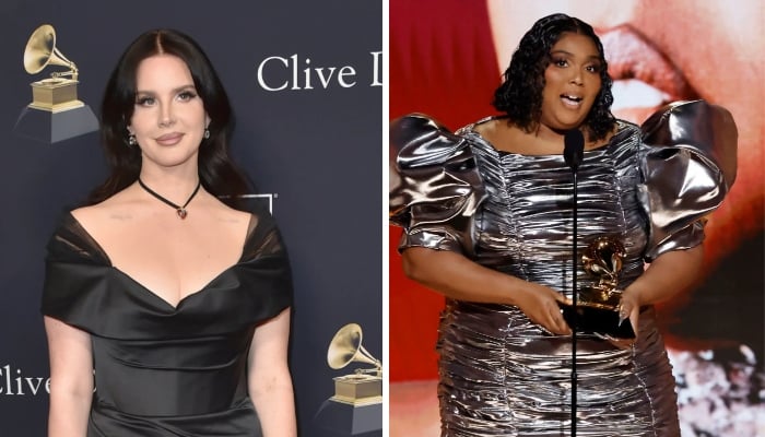 Lana Del Rey denies feud with Lizzo after TikTok screenshot goes viral