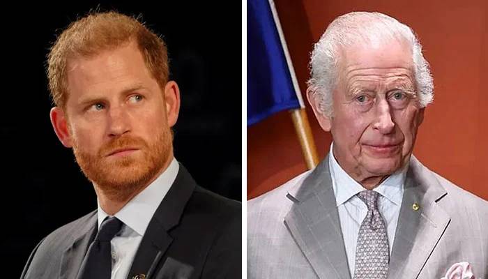 Prince Harry raises ‘another’ HUGE concern for King Charles with legal battle