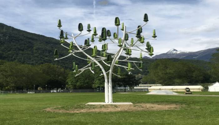 Say goodbye to electricity bills with THIS amazing garden tree