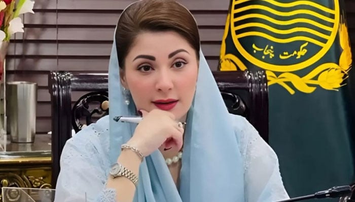 وزیرِ اعلیٰ پنجاب مریم نواز — فائل فوٹو