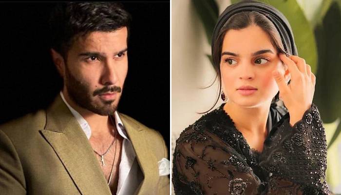 Feroze Khan, ex Aliza Sultan exchange cryptic digs: netizens react