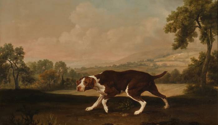 George Stubbs’ iconic painting The Spanish Pointer heads to auction after 50 years