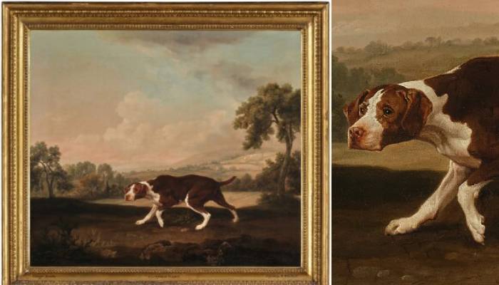 George Stubbs’ iconic painting The Spanish Pointer heads to auction after 50 years