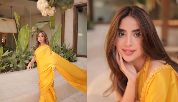 aboor Aly steals the spotlight in yellow silk sari