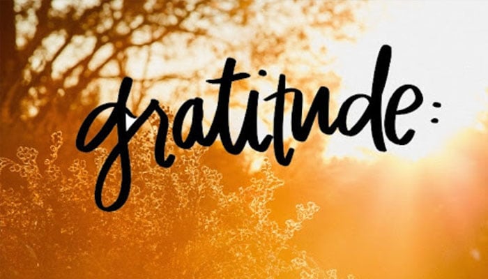 Gratitude can improve your mental and physical health, study