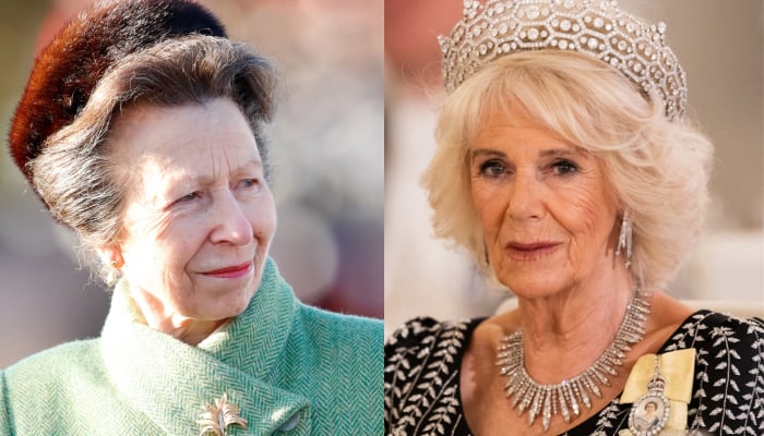 Princess Anne pays tribute to Camilla after Queens heartbreak