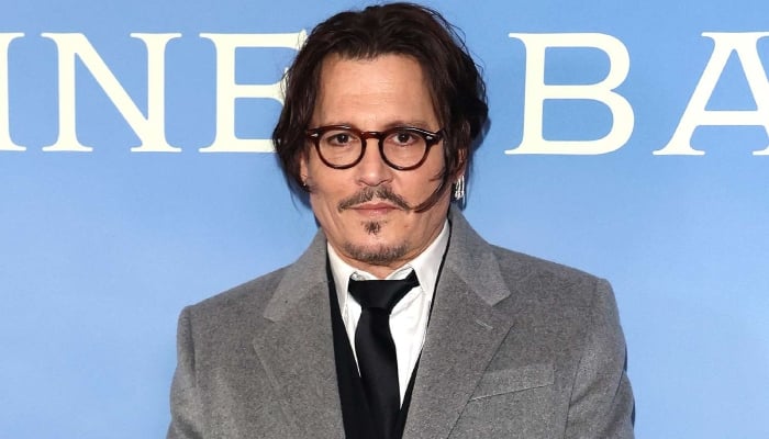 Johnny Depp sparks dating rumours with mystery lady