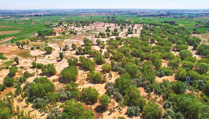 China completes 46-year journey to transform desert into green land