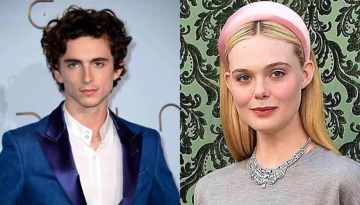 Elle Fanning, Timothée Chalamet step out for Bob Dylan biopic screening