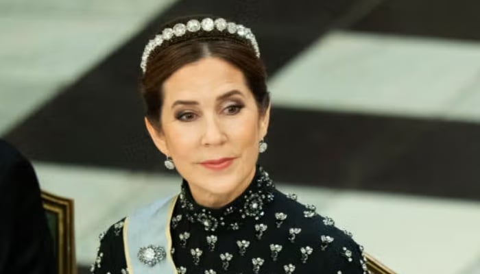 Queen Mary turns heads in silky chic look during event without King Frederik