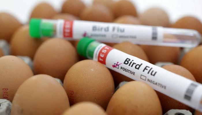 Centers for Disease Control and Prevention confirmed the first severe bird flu case