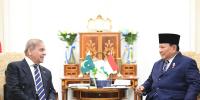وزیراعظم کی انڈونیشیا کے صدر سے ملاقات