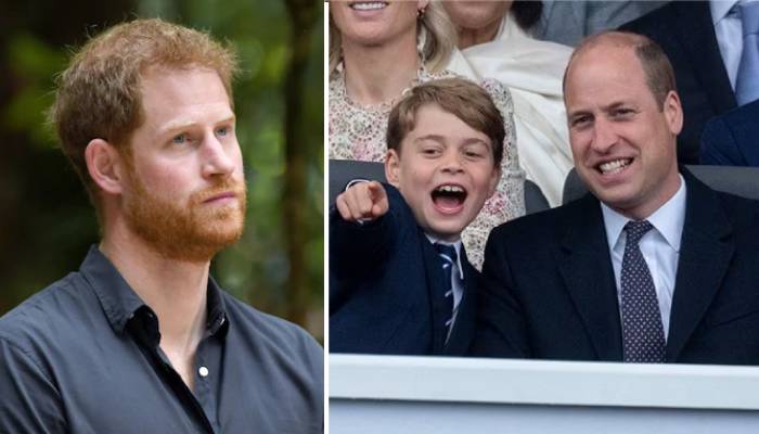 Prince George ‘substitutes’ Prince Harry in dad Prince William’s life