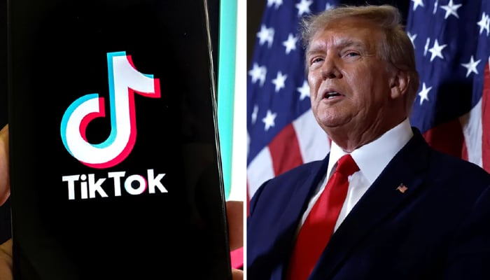 Trump requests Supreme Court to pause TikTok ban